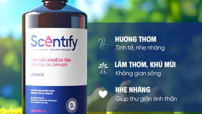 Tinh dầu khuếch tán Lasesco an toàn khi sử dụng hàng ngày