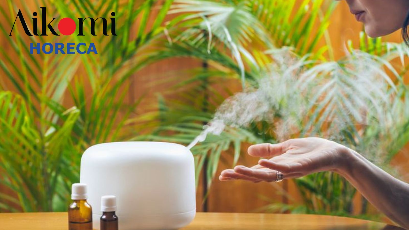 Hướng dẫn sử dụng máy khuếch tán tinh dầu