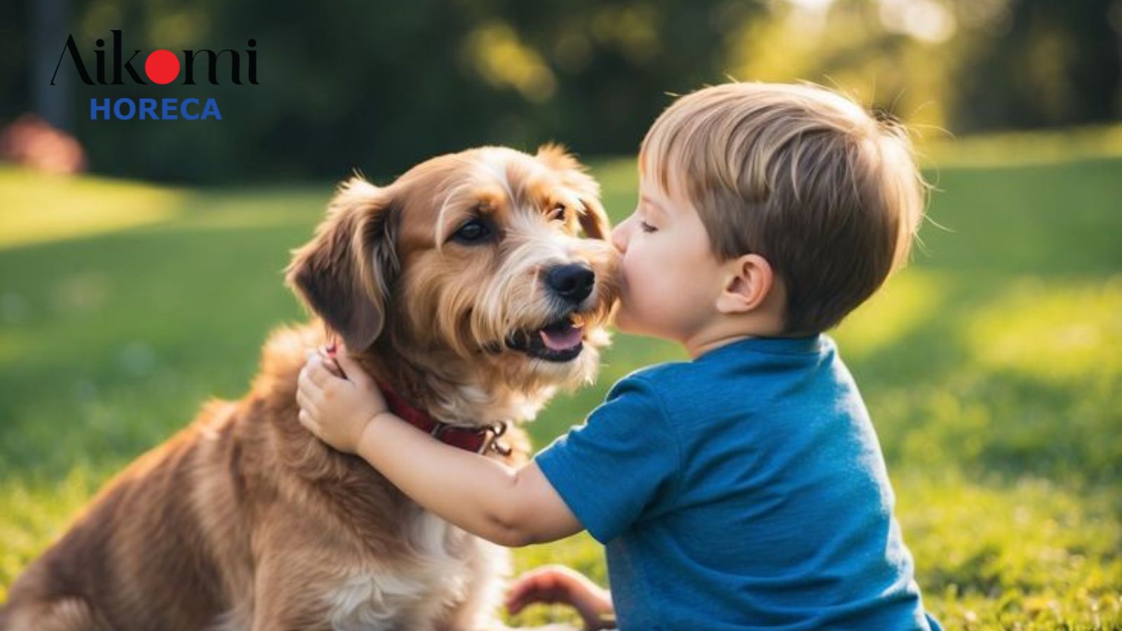 Sản Phẩm Khử Mùi An Toàn Cho Gia Đình: Bảo Vệ Sức Khoẻ Người Thân